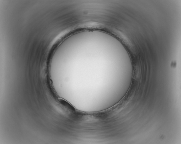 X0000090740392200708172011