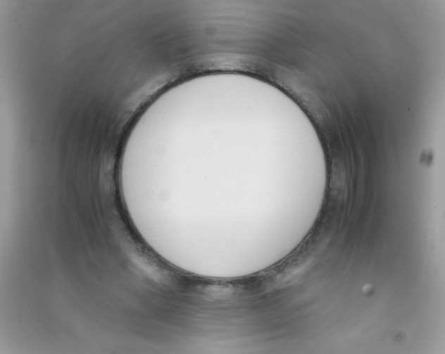 X0000090740394200708172011