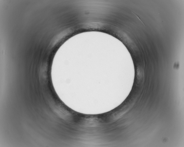 X0000090740396200708172011