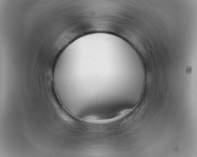 X0000090740397200708172011