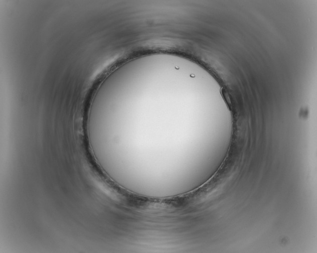 X0000090740399200708172011