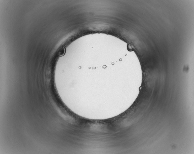 X0000090740400200708172011