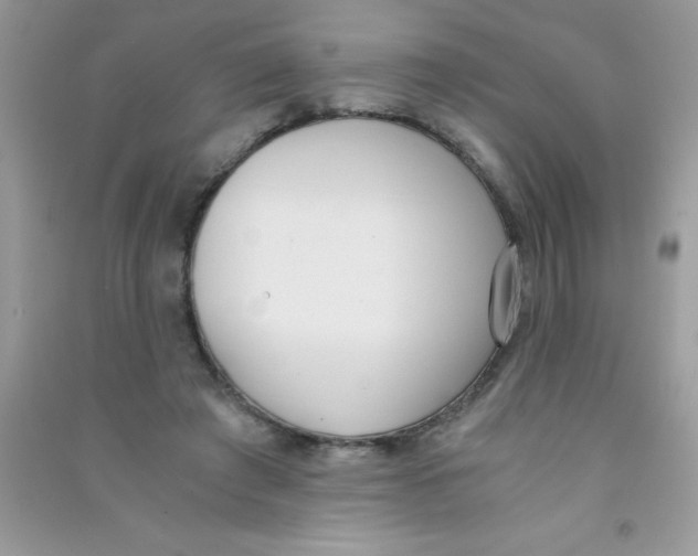 X0000090740401200708172011