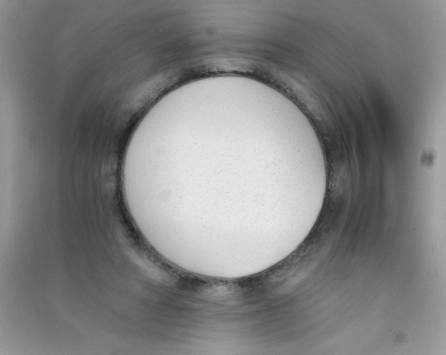 X0000090740402200708172011