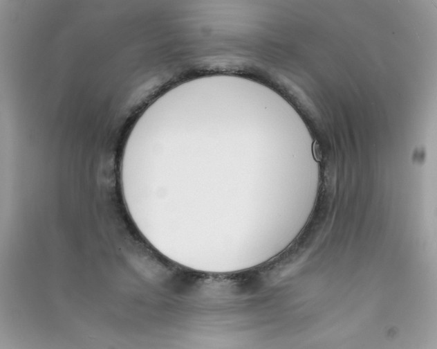 X0000090740403200708172011