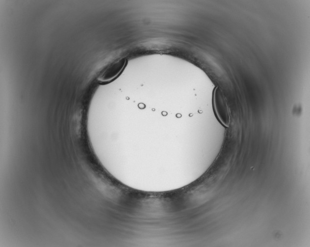 X0000090740404200708172011