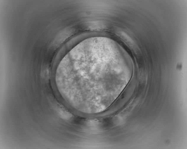 X0000090740405200708172011