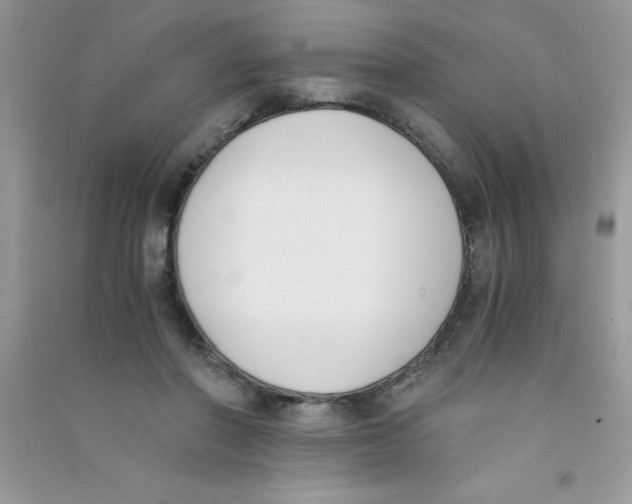 X0000090740406200708172011