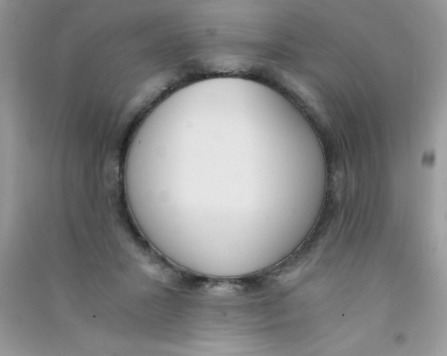 X0000090740407200708172011