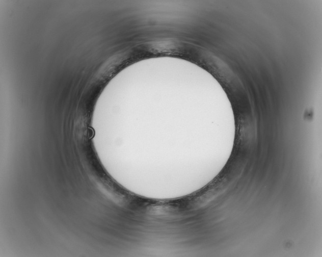 X0000090740408200708172011