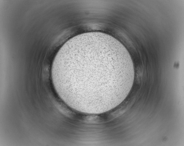 X0000090740410200708172011