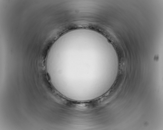 X0000090740411200708172011