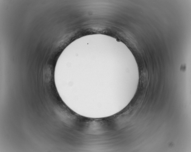 X0000090740412200708172011