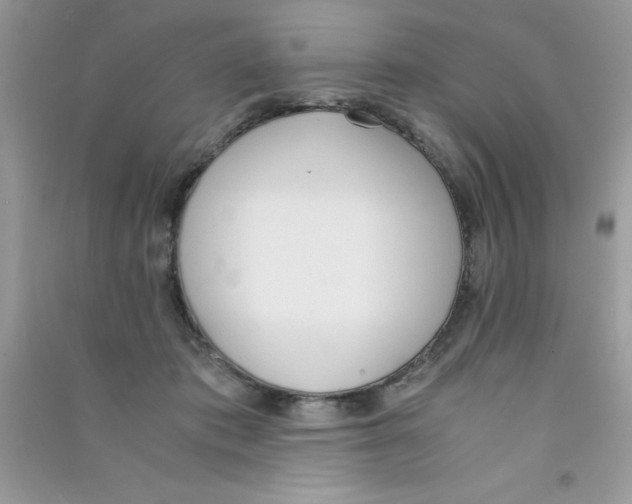 X0000090740413200708172011