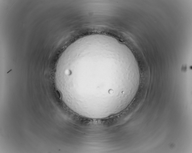 X0000090740415200708172011