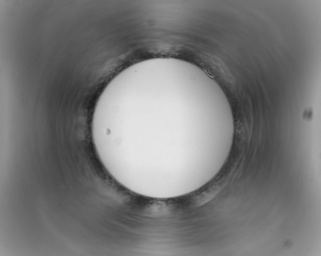 X0000090740416200708172011