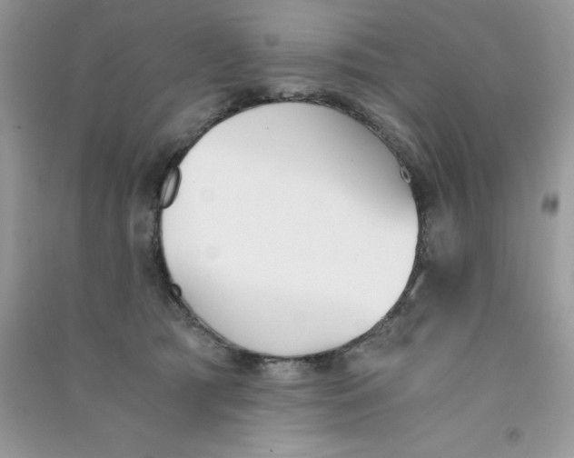 X0000090740417200708172011