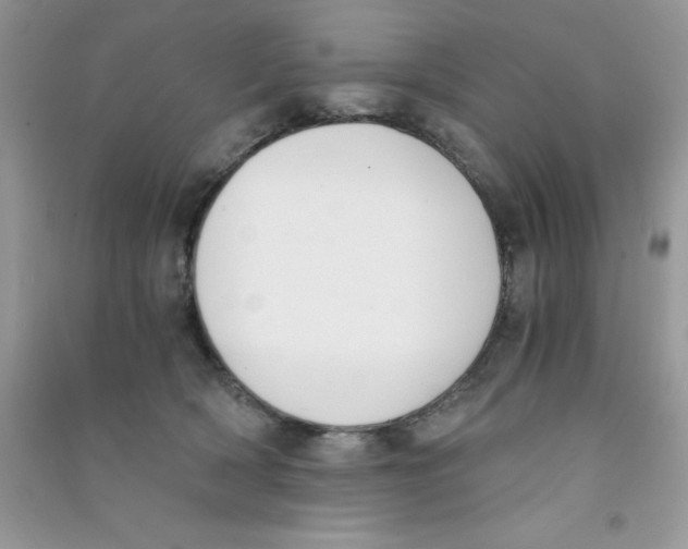 X0000090740418200708172011