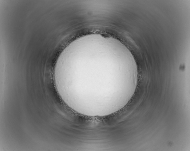 X0000090740419200708172011