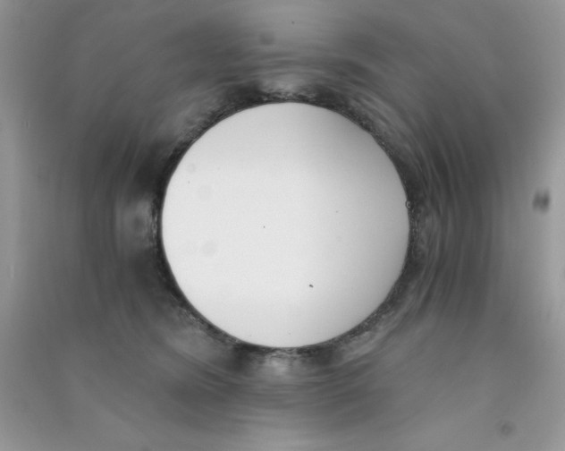 X0000090740420200708172011