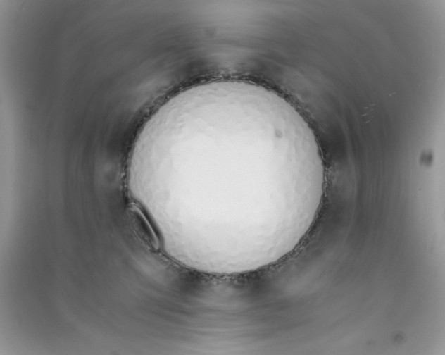 X0000090740423200708172011