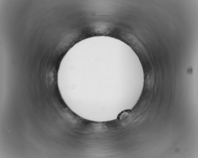 X0000090740424200708172011