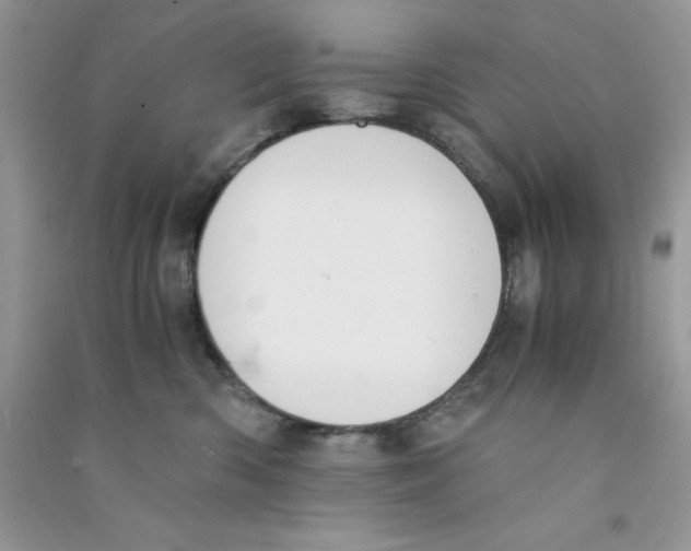 X0000090740426200708172011