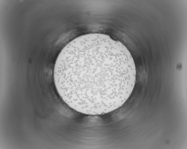 X0000090740427200708172011