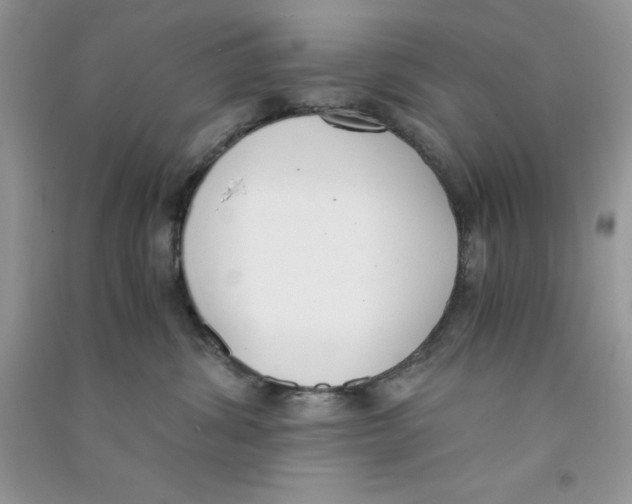 X0000090740428200708172011