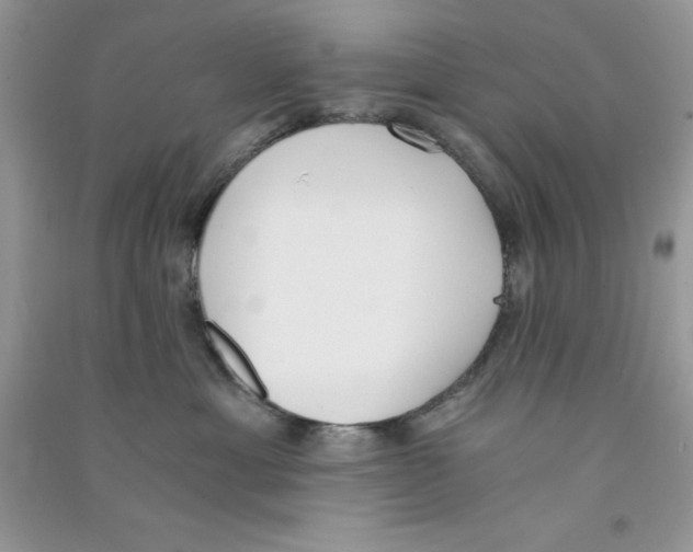 X0000090740429200708172011