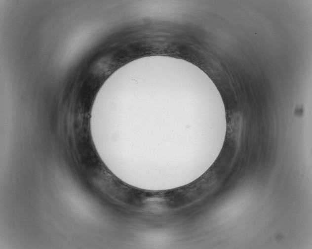 X0000090740430200708172011