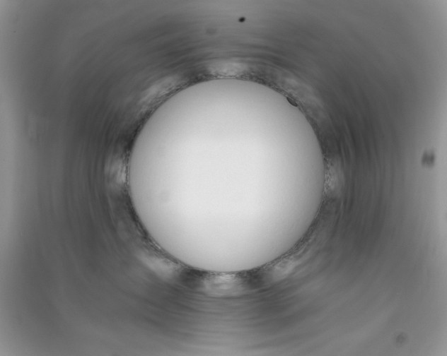 X0000090740431200708172011