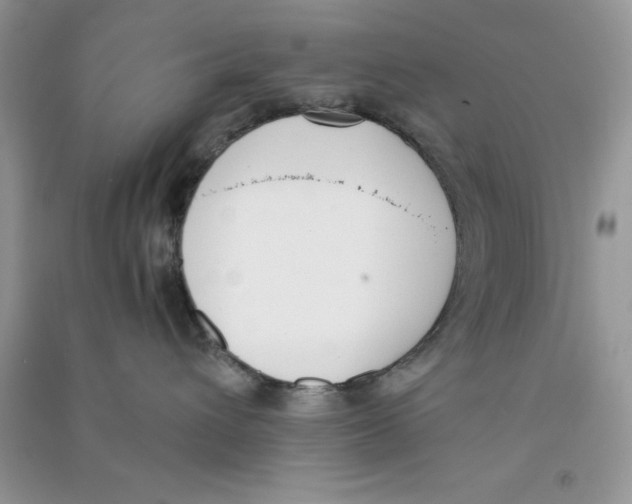 X0000090740432200708172011