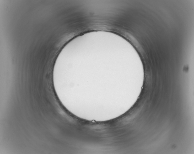 X0000090740433200708172010