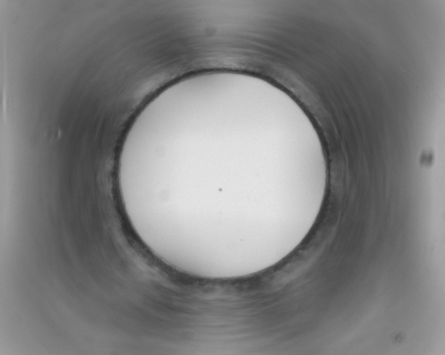 X0000090740434200708172010