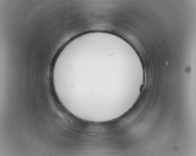 X0000090740435200708172010