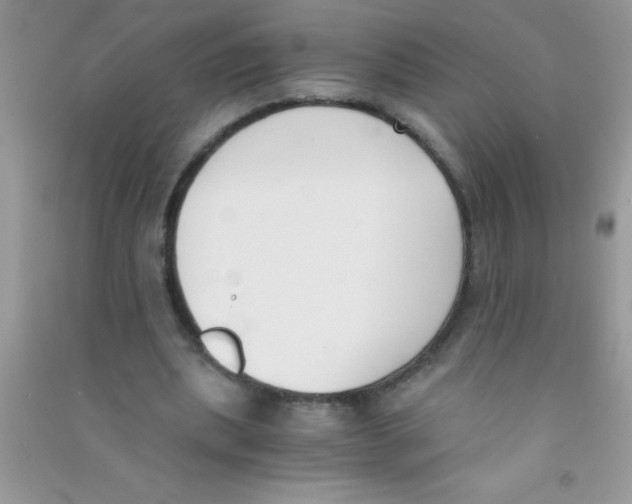 X0000090740439200708172010