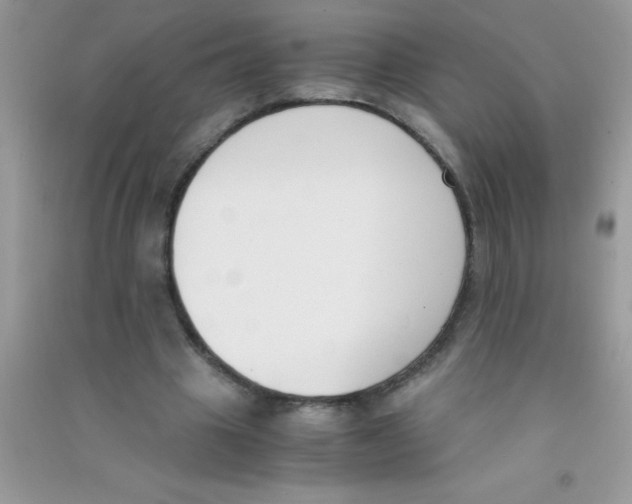 X0000090740441200708172010