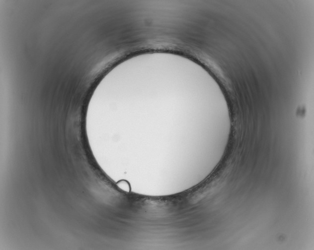 X0000090740442200708172010