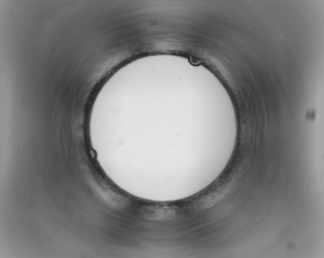 X0000090740443200708172010