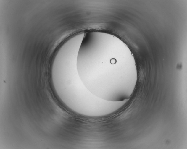 X0000090740444200708172010