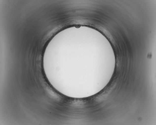 X0000090740445200708172010