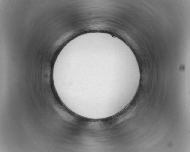 X0000090740446200708172010