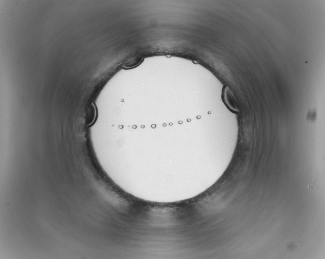 X0000090740450200708172010