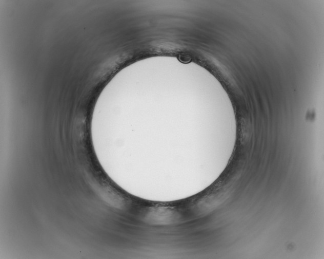 X0000090740451200708172010