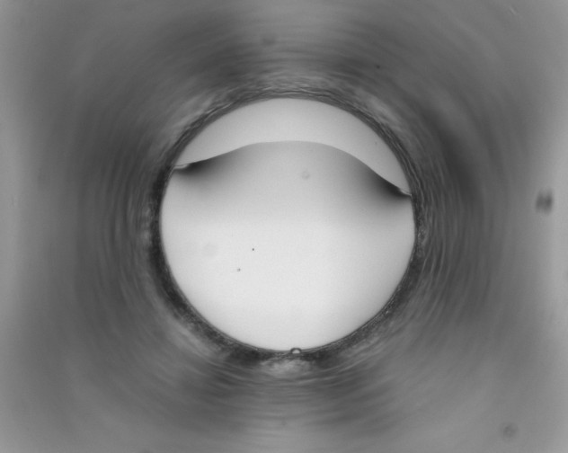 X0000090740452200708172011