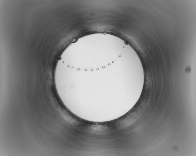 X0000090740453200708172011