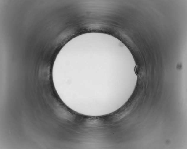 X0000090740454200708172011