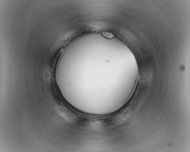 X0000090740456200708172011