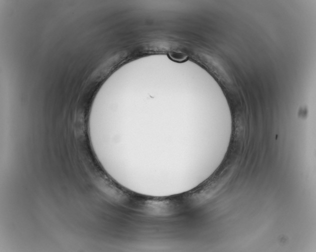 X0000090740457200708172011